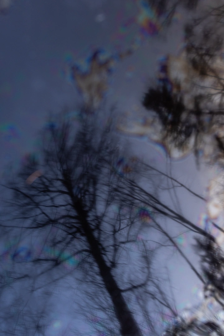 Description of image