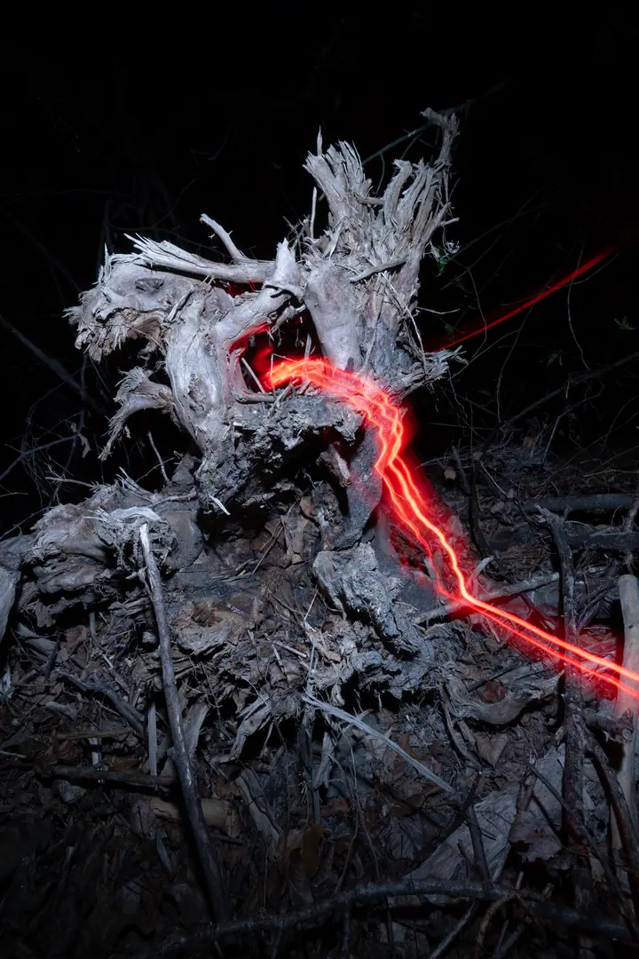 Description of image