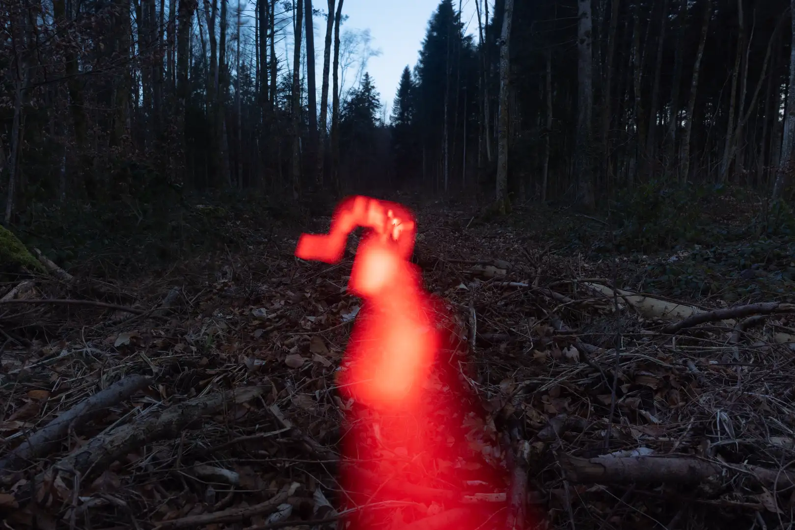 Description of image