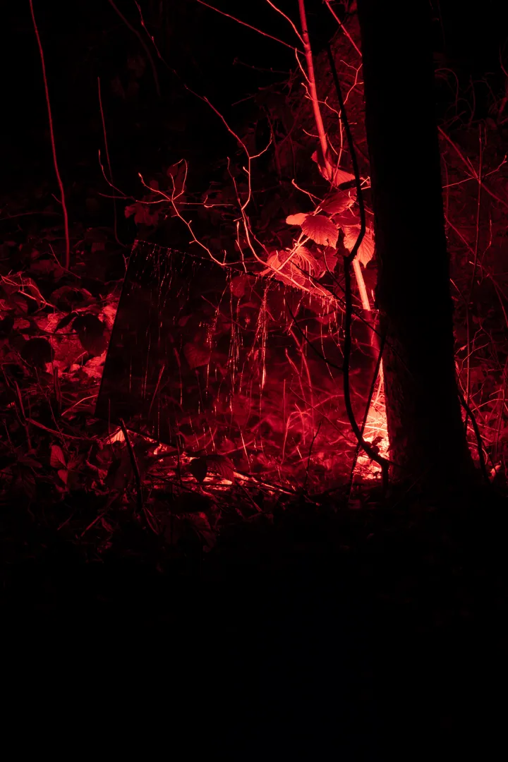 Description of image