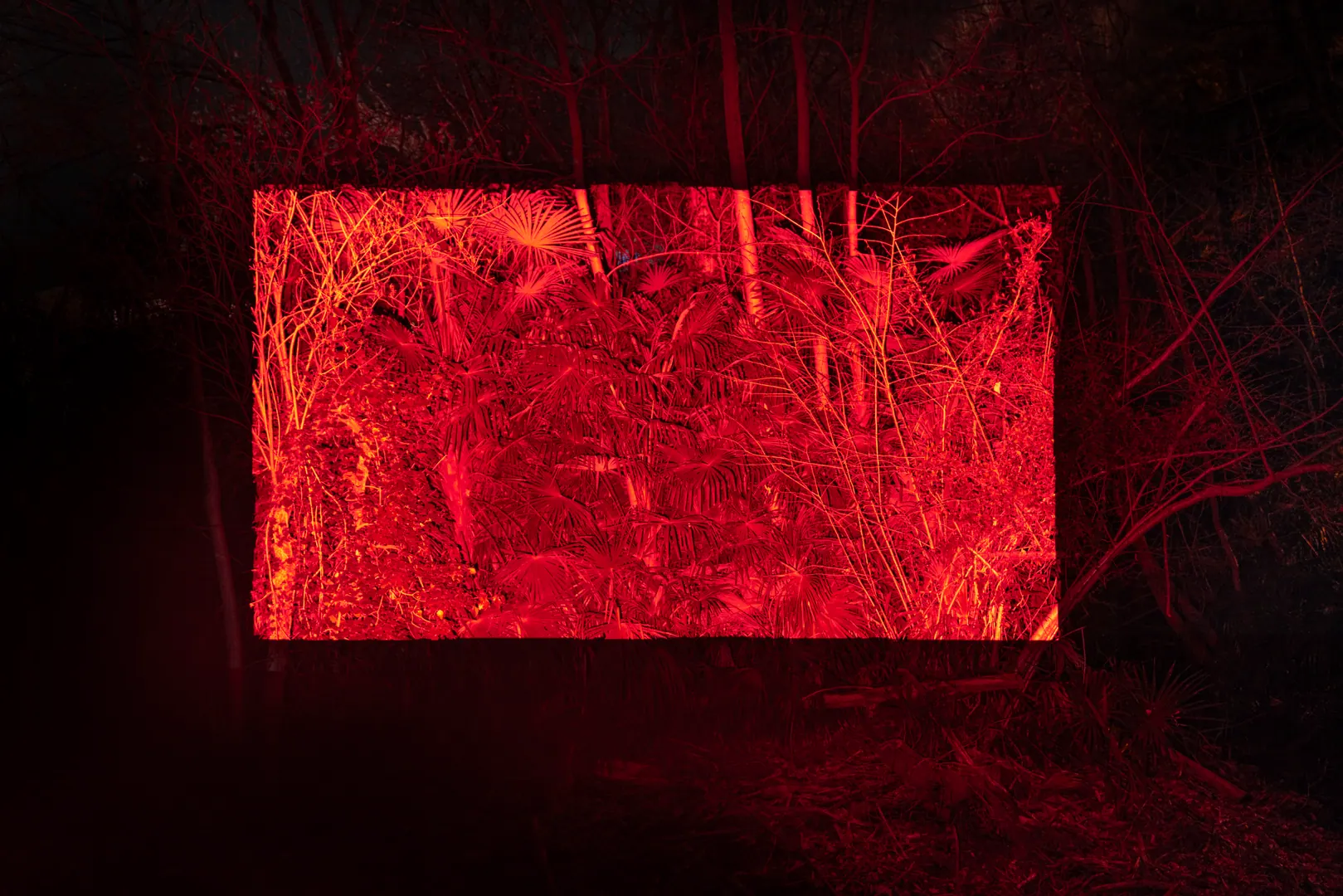 Description of image