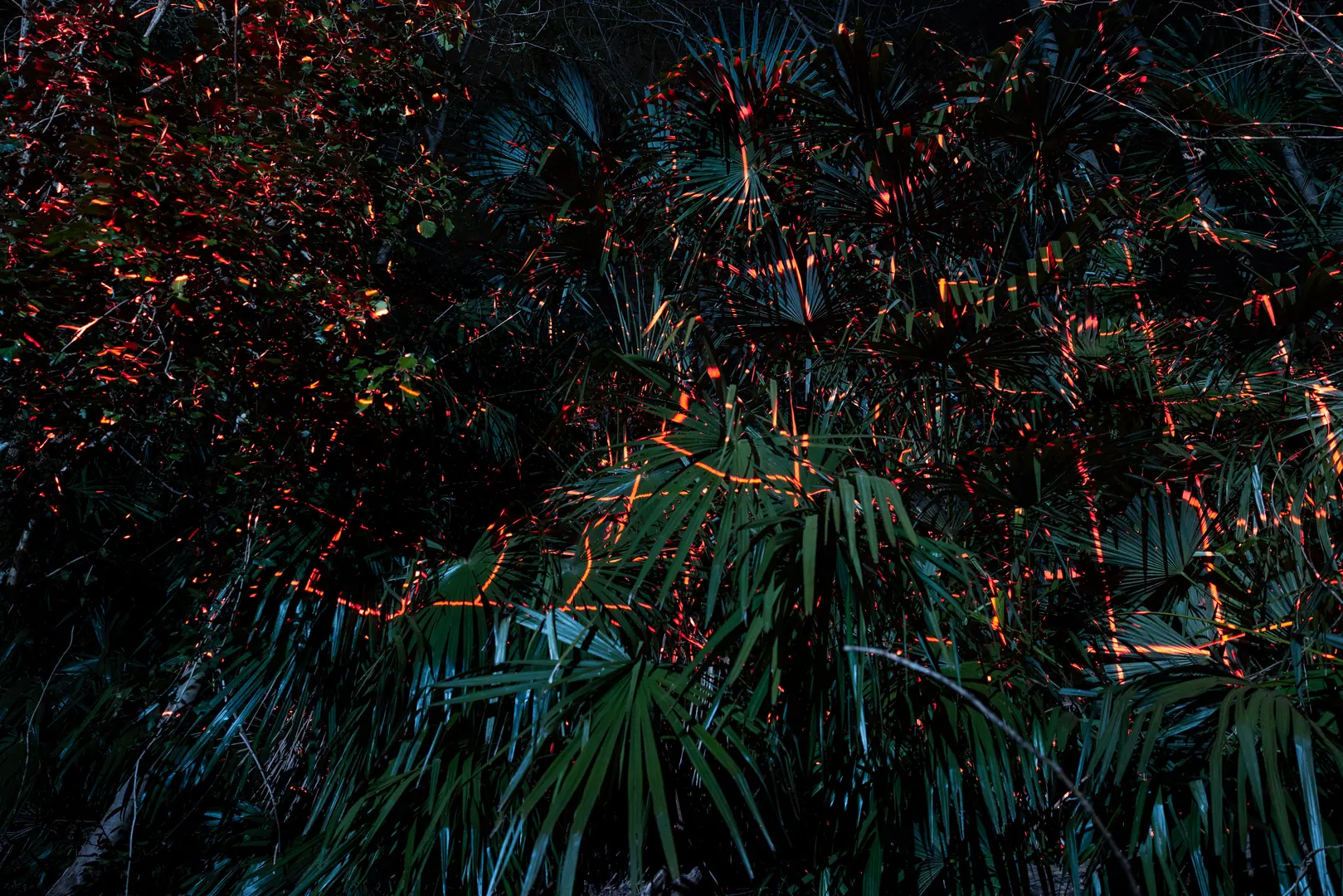 Description of image