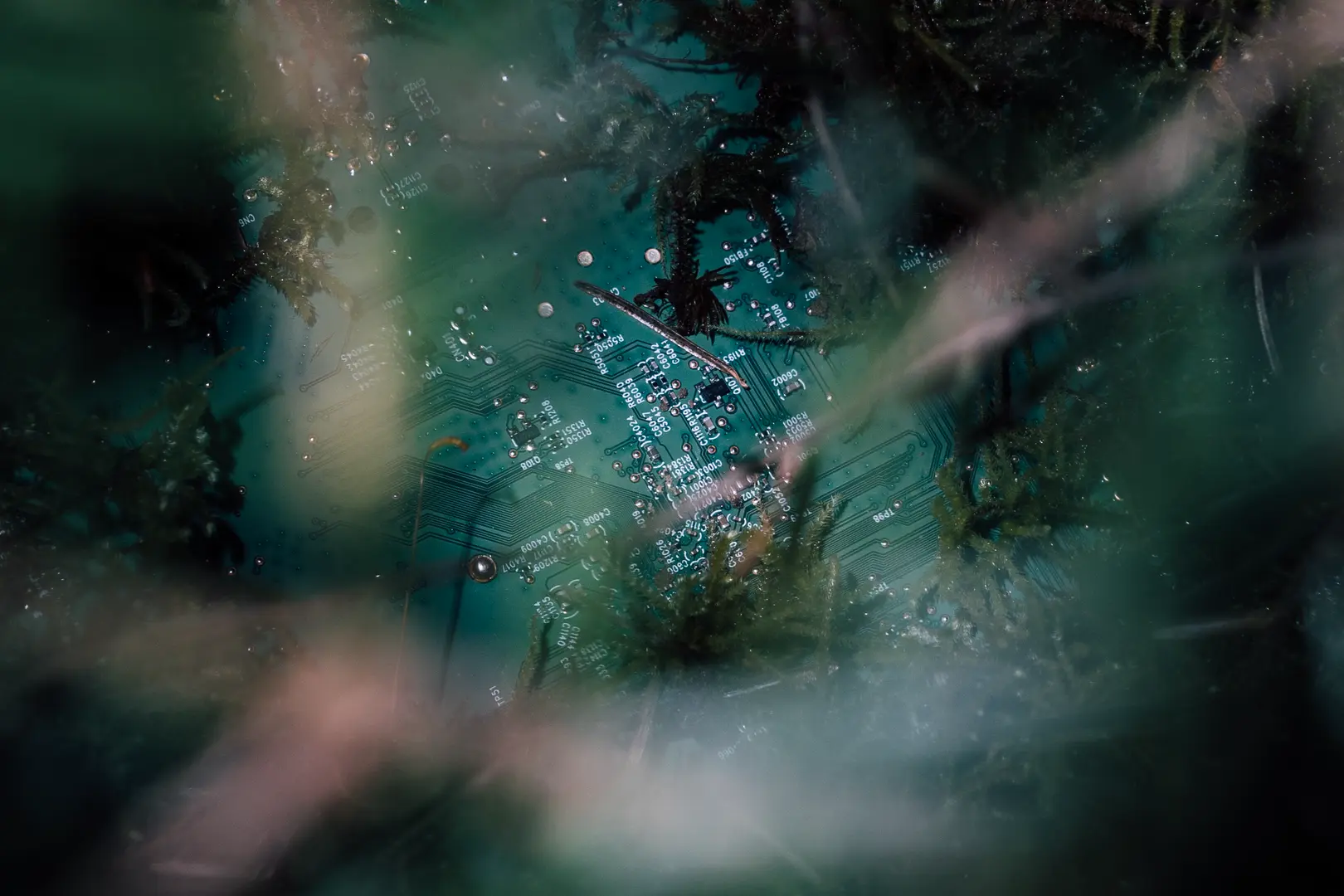 Description of image