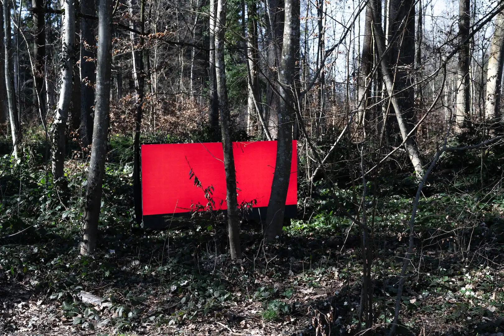 Description of image