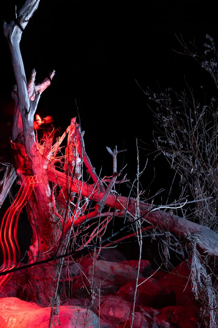 Description of image