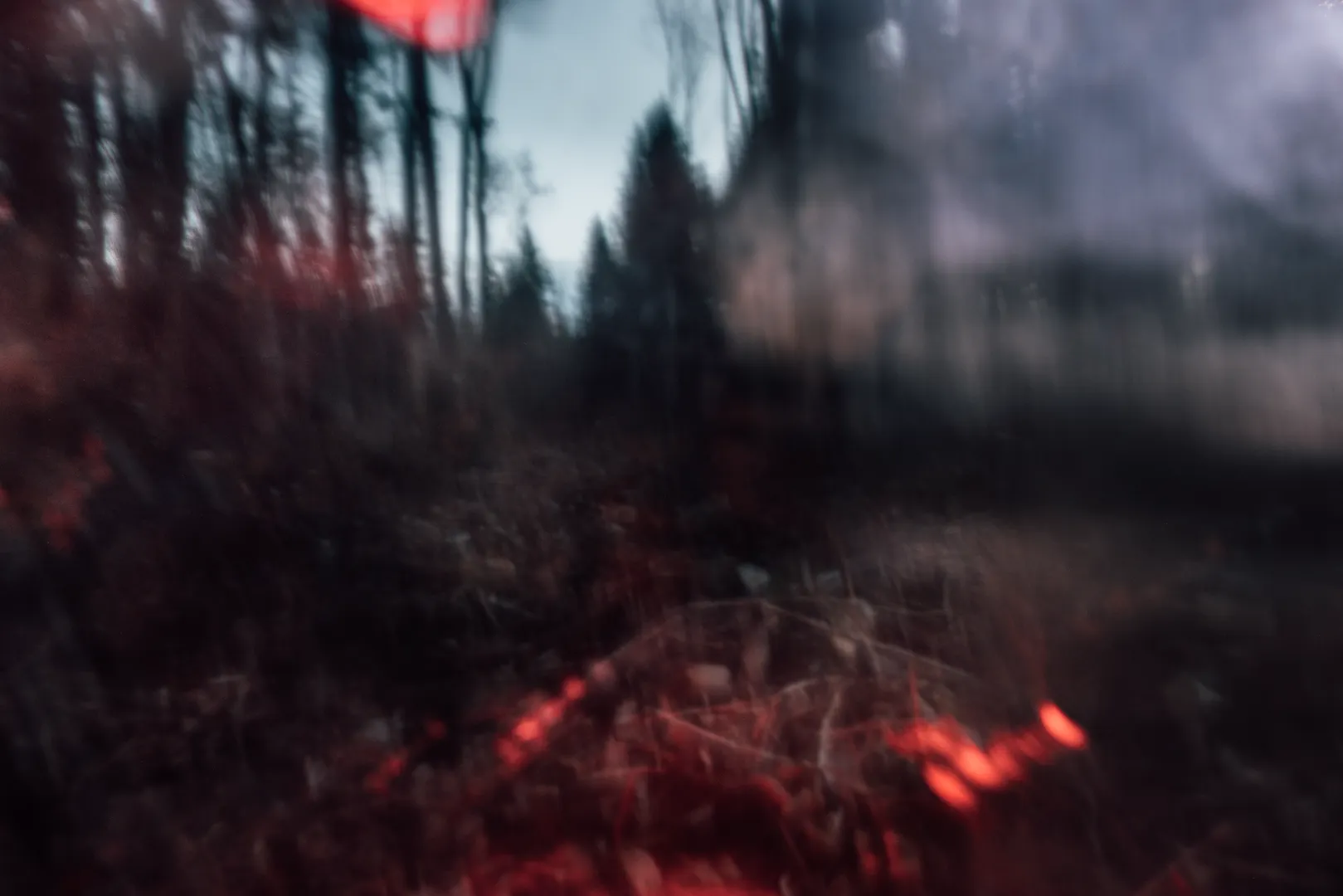 Description of image