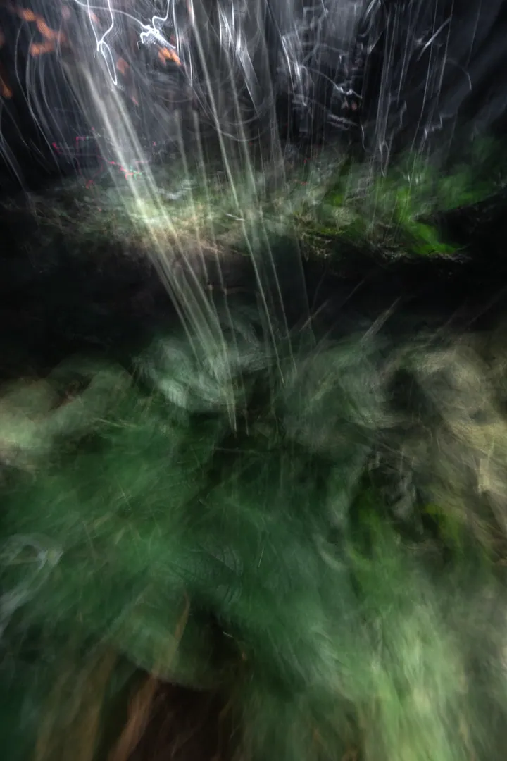 Description of image